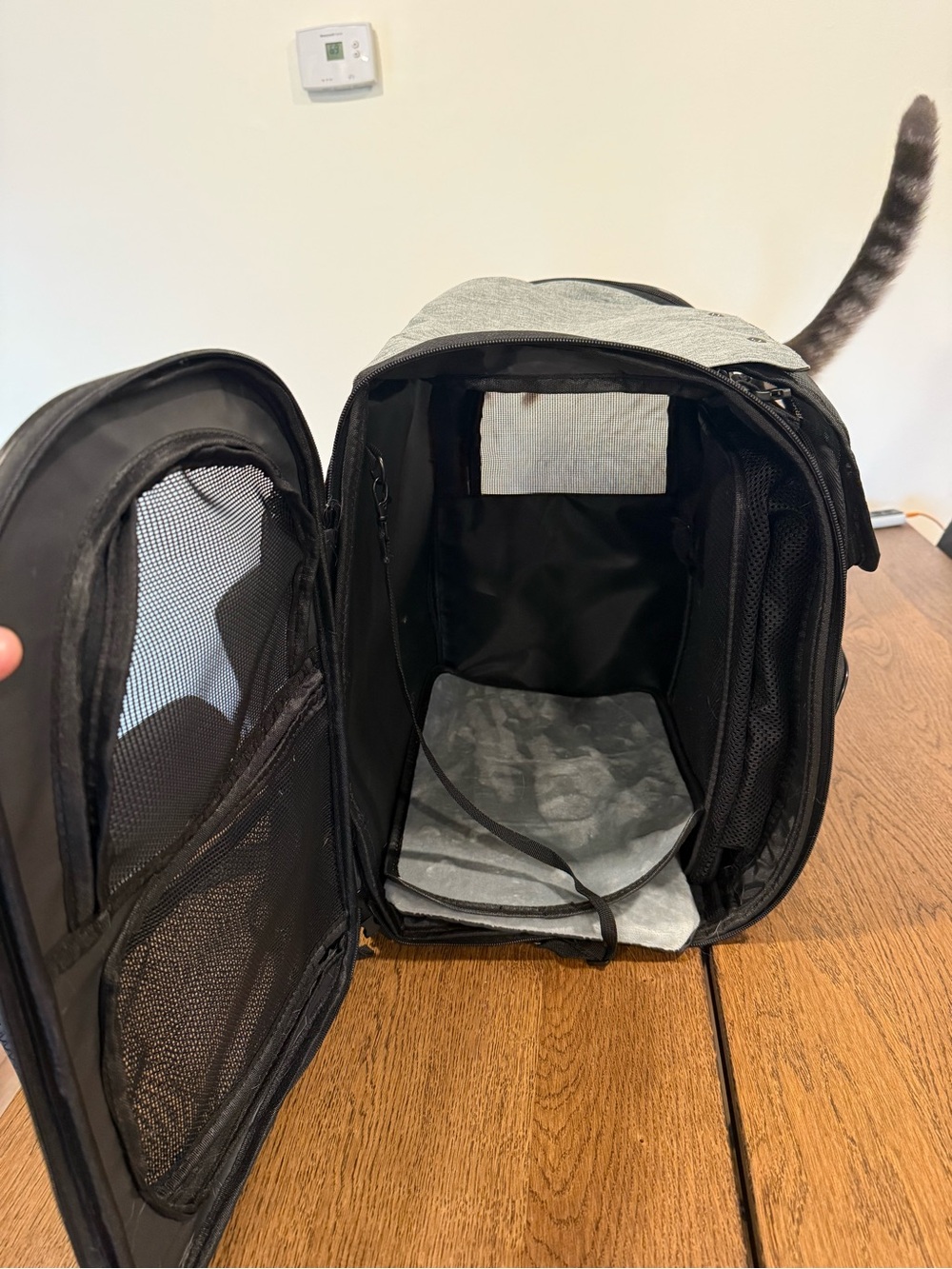 Cat Backpack - Picture 4 of 14